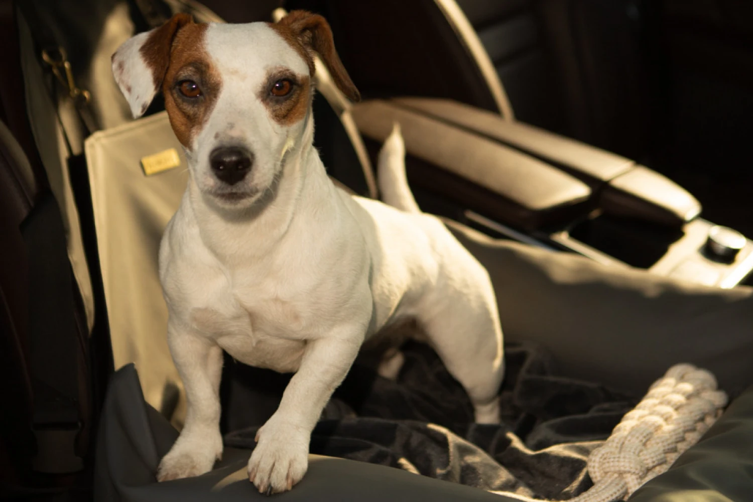 Field Spaniels Dog Car Seat for Subaru Ascent