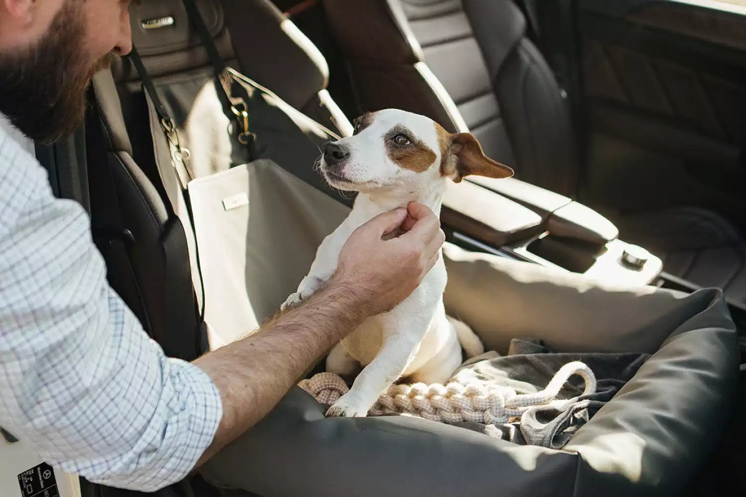 Kia Telluride Dog Car Seat for Shar-Pei