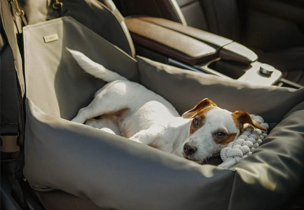 Field Spaniels Dog Car Seat for Subaru Ascent