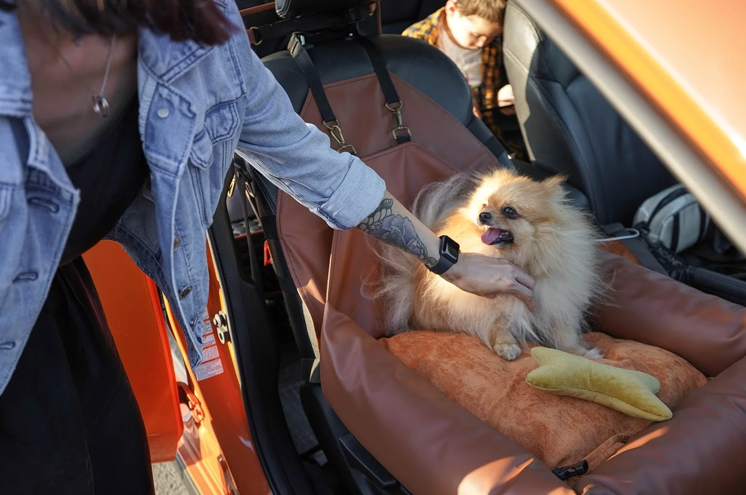 Chevrolet Impala Dog Car Seat for Miniature Schnauzers
